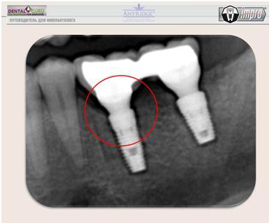 Качественная стоматология и здоровые зубы